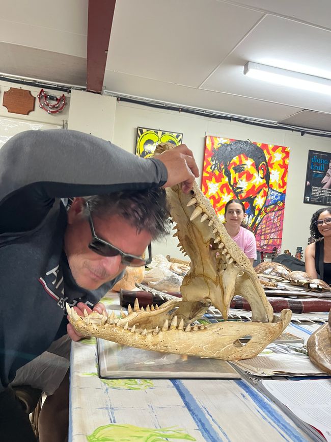 Région Crocodile 🐊