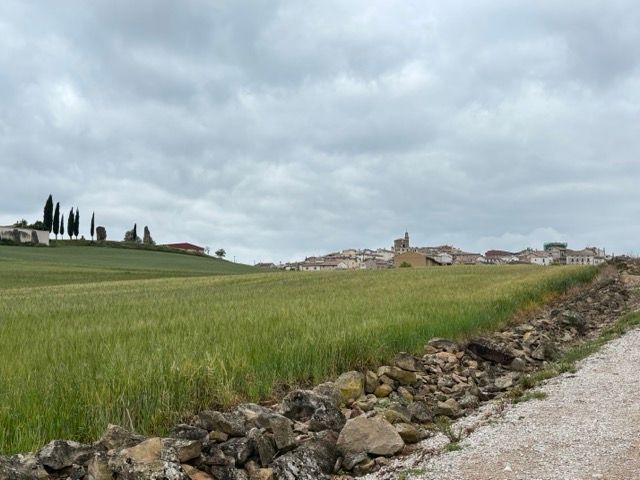 8. Tag 
Puente la Reina - Estella