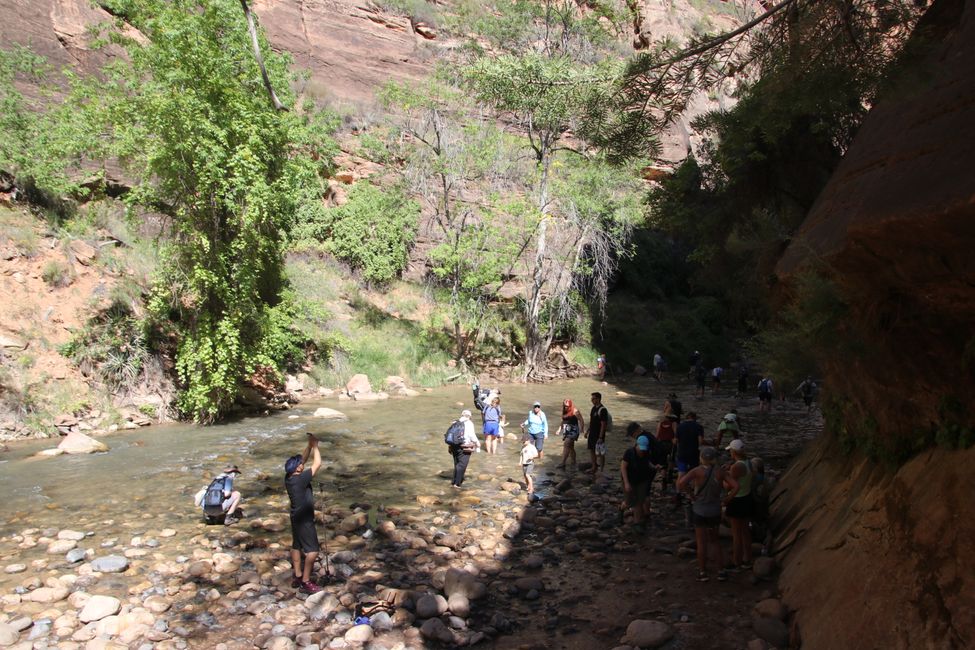 Crossing Virgin River in Zion Canyon