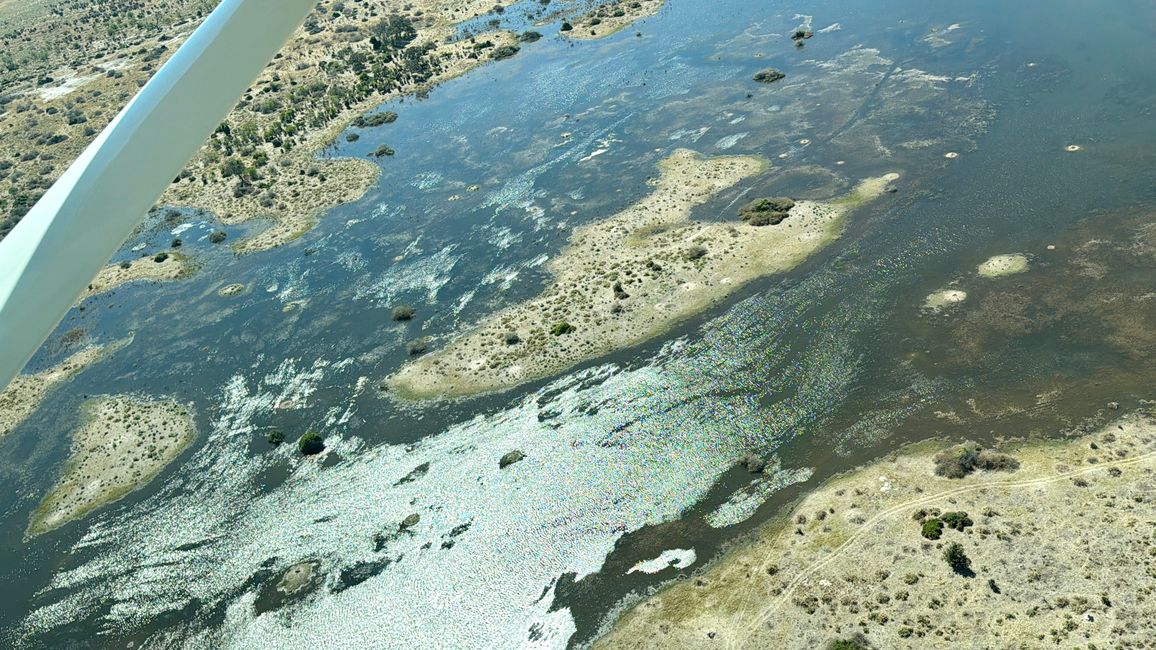 Vom Chobe zum Okavango