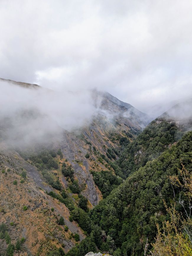 Timetravelling in Arthur's Pass