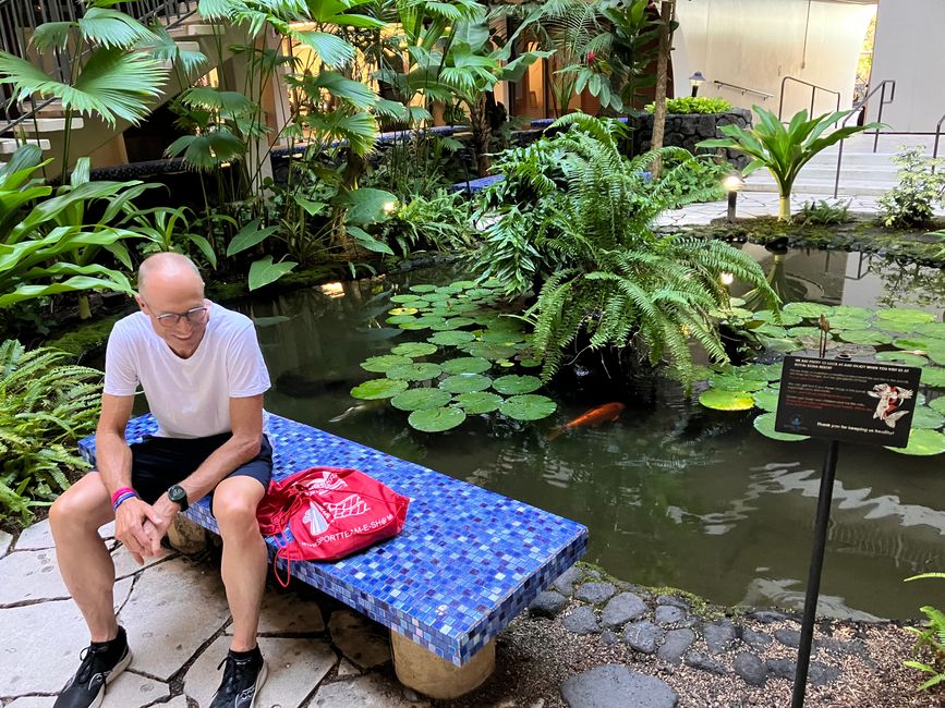 Norbi watching the huge Koi fish