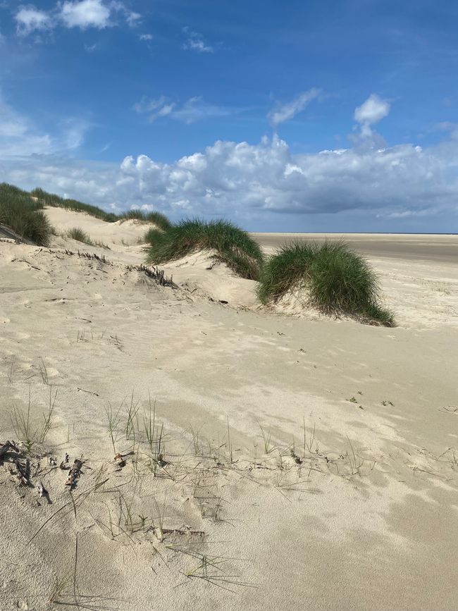 27.05.2024 Montag 