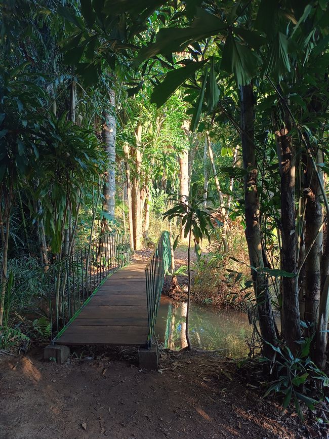 Botanischer Garten in Gondola