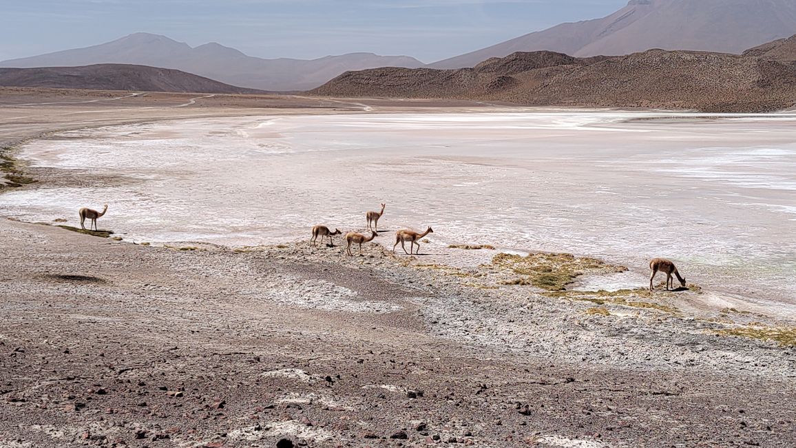 Bolivia, Tour de Lagunas