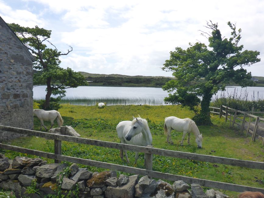 Irland