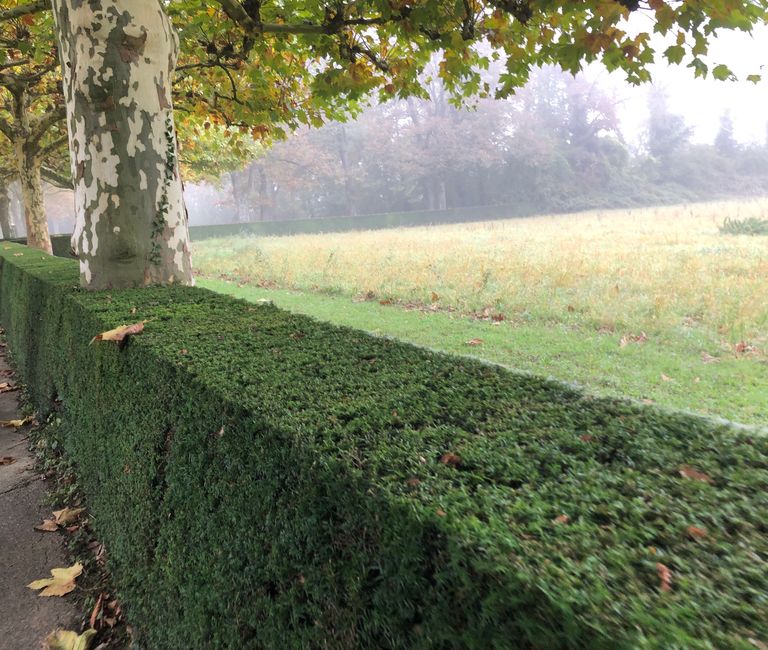 Der Weg zum Friedhof der Klinik ist schön angelegt