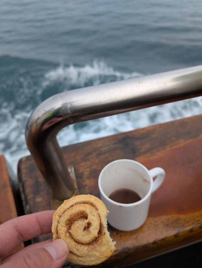 Under the Northern Sun