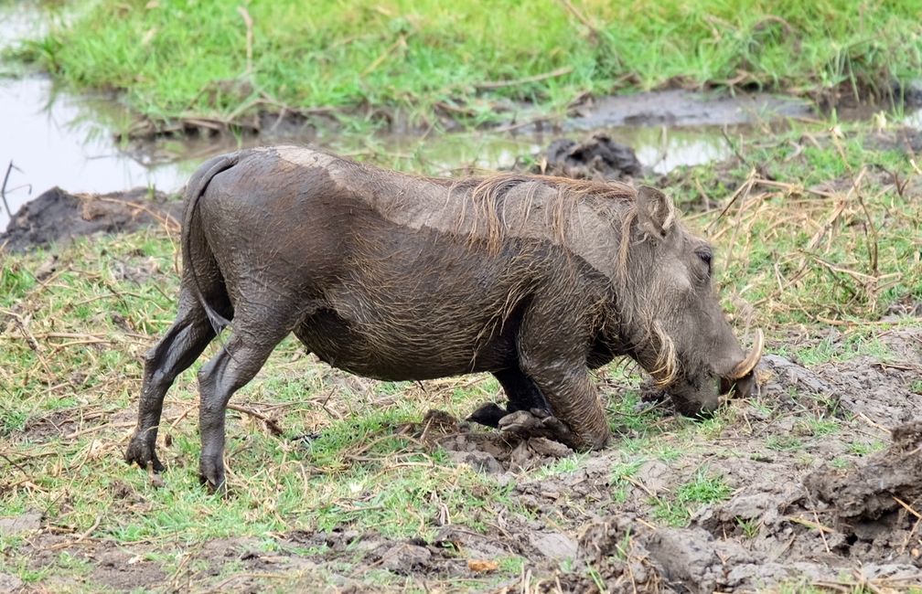 Bwabwata National Park