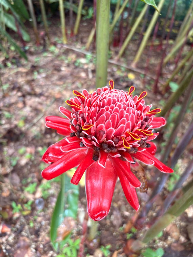 Unterwegs in Costa Rica