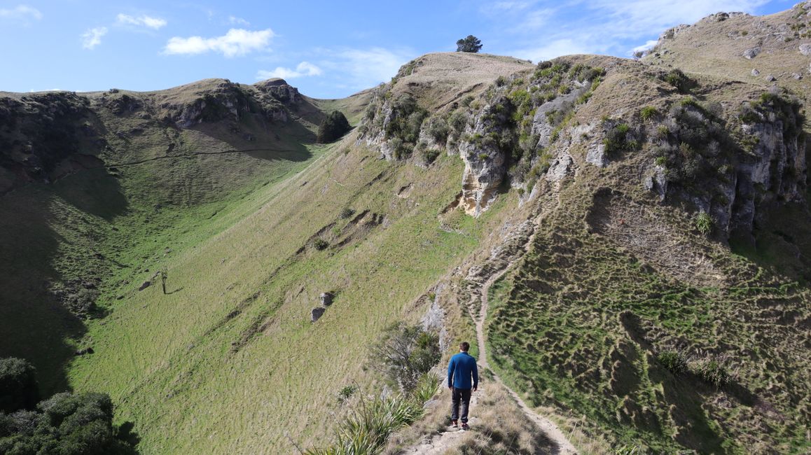 Te Mata Trust Park