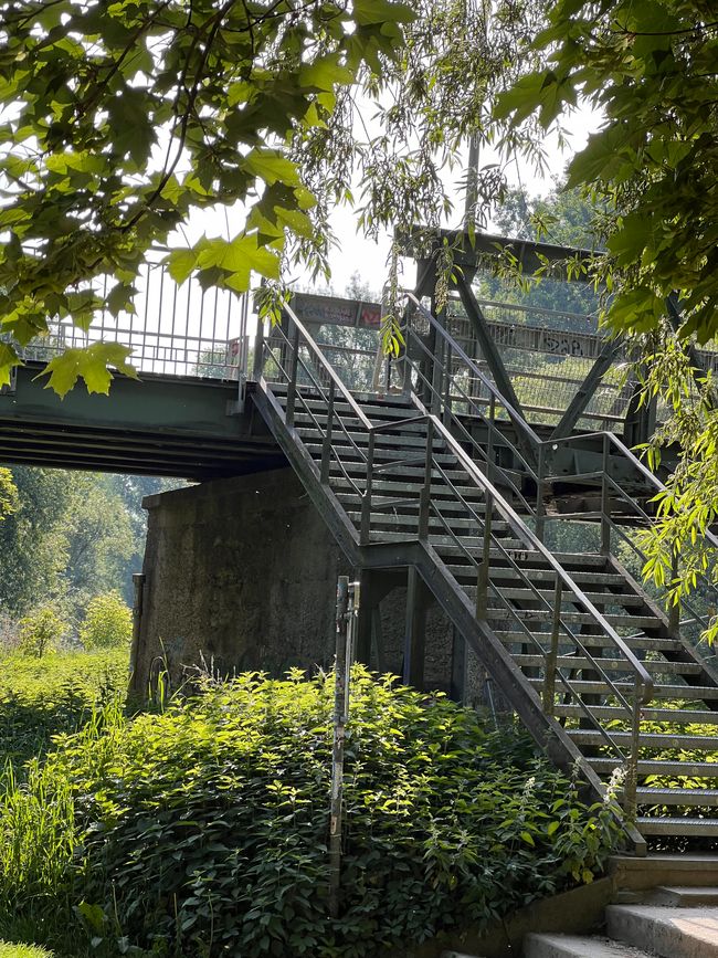 19b Domspatzen und Walhalla