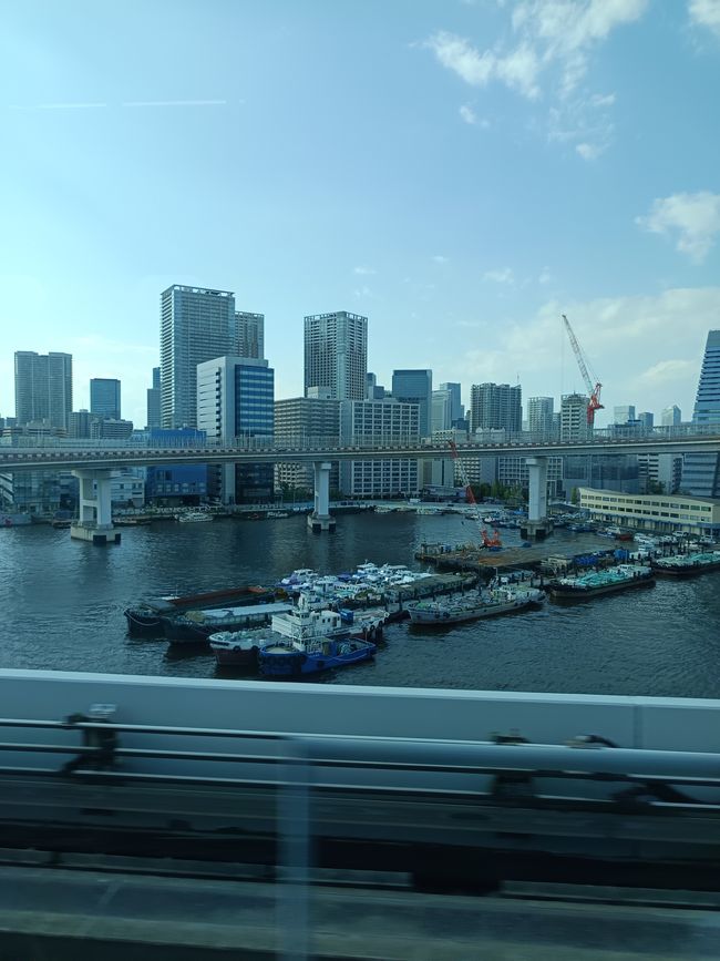 Tokyo auf eigene Faust