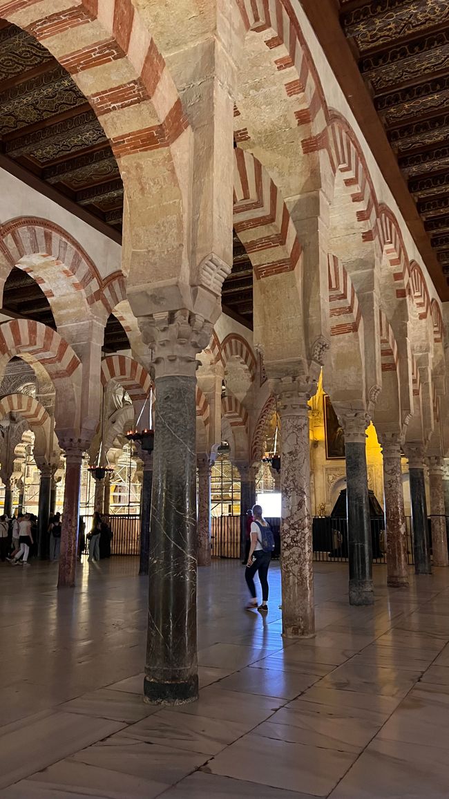 Cordoba