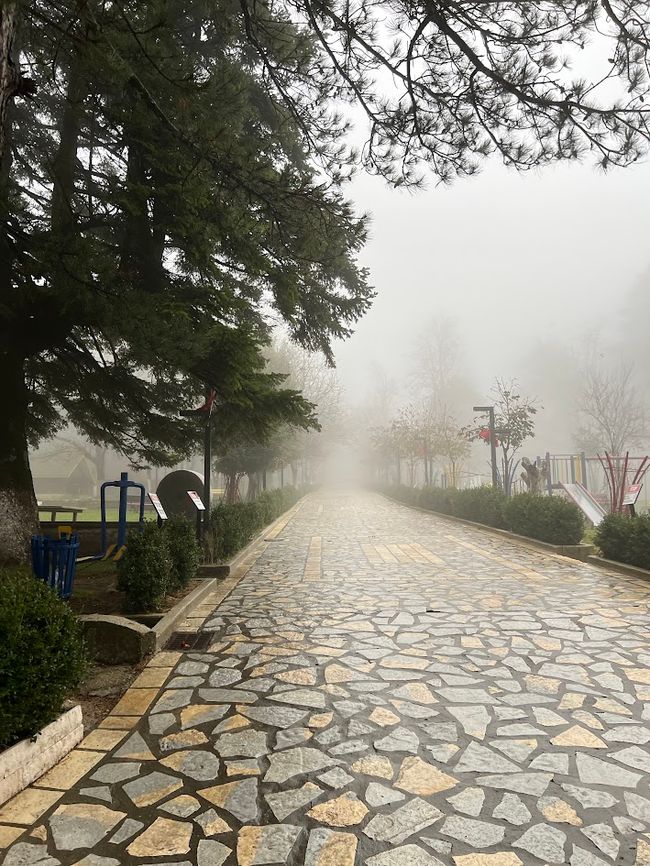 Llogara - Vlora Albania