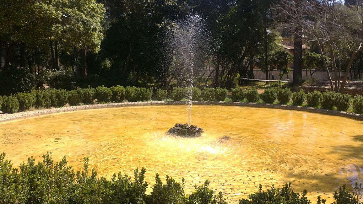 Photos du quartier de Pedralbes (Barcelone) (mars 2019)