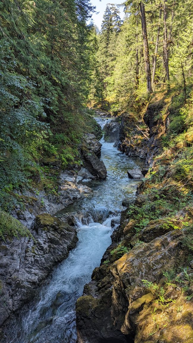 Little Qualicum Falls Provincial Park