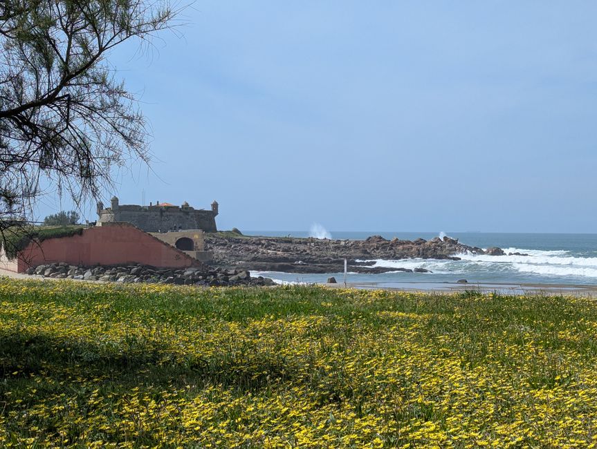Porto per pedes (Camino Portugues 1)