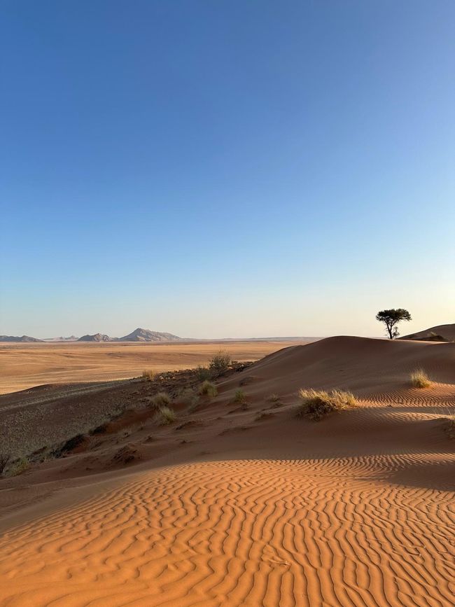 Desierto de Namibia 🏜️