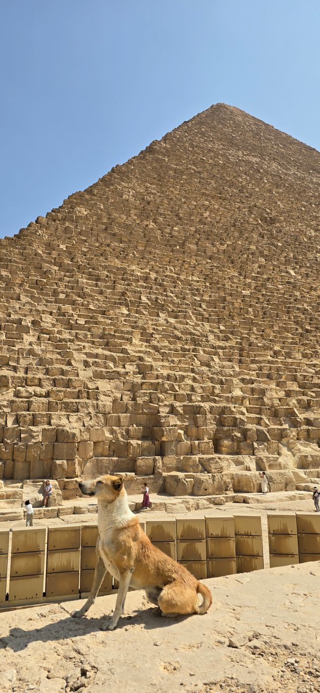 Zwischen Urlaub und Nebenwirkungen- Ägypten hautnah