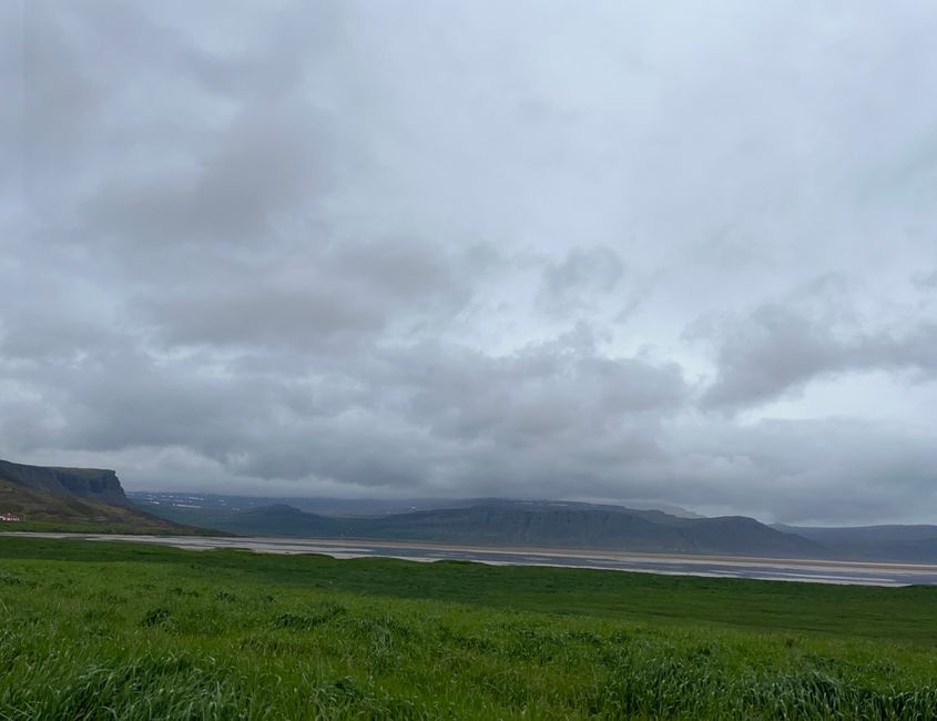 Auf der Jagd nach Puffins