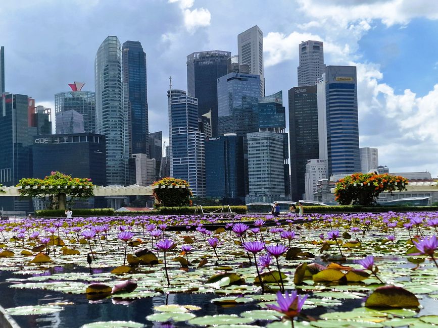 Marina Bay