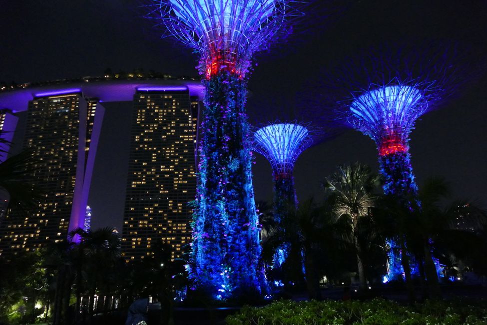 - Singapur & Tasmania 2019 -