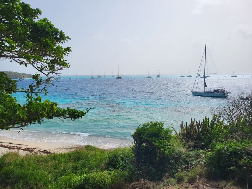 Tobago Cays