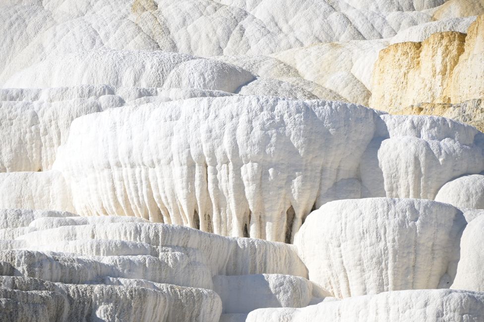 Mammoth Hot Springs - Sinterterrassen