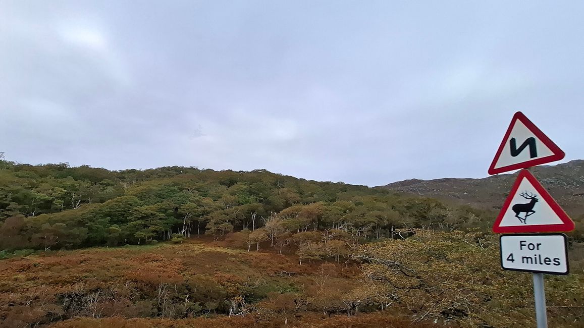 Tag 9 - Fort William <-> Mallaig