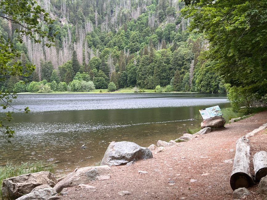 26 Feldbergsteig Escursione Pro Wolermoos