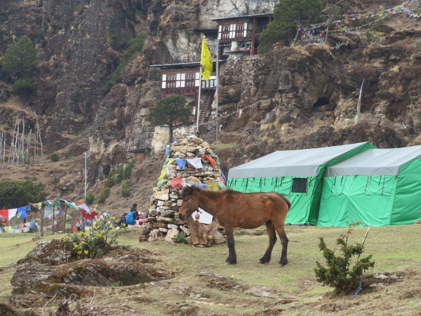 Basecamp mit Tempel auf 3800m Höhe