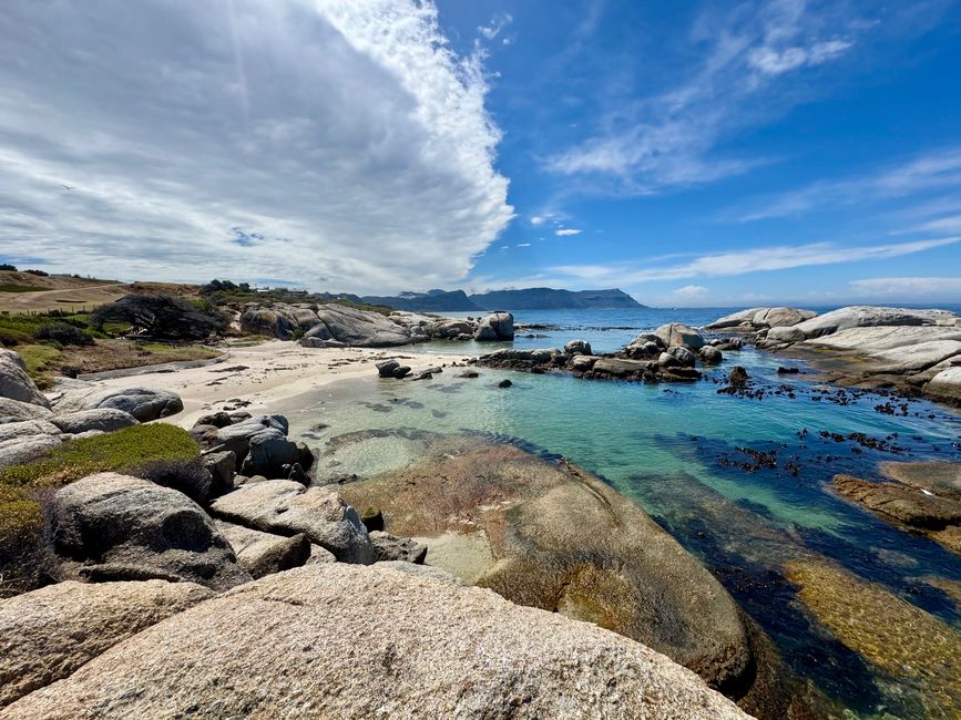 Afrique du Sud 🇿🇦Semaine 5
