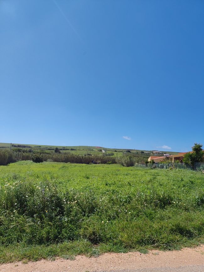 Sagres -> Vila do Bispo