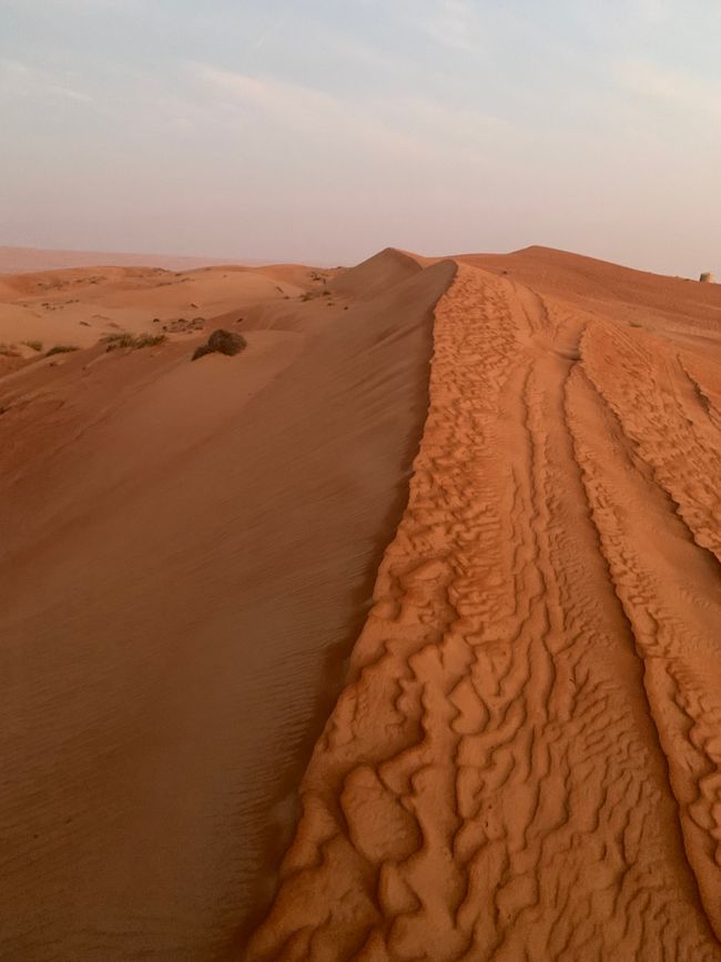 Dunas de Wahiba