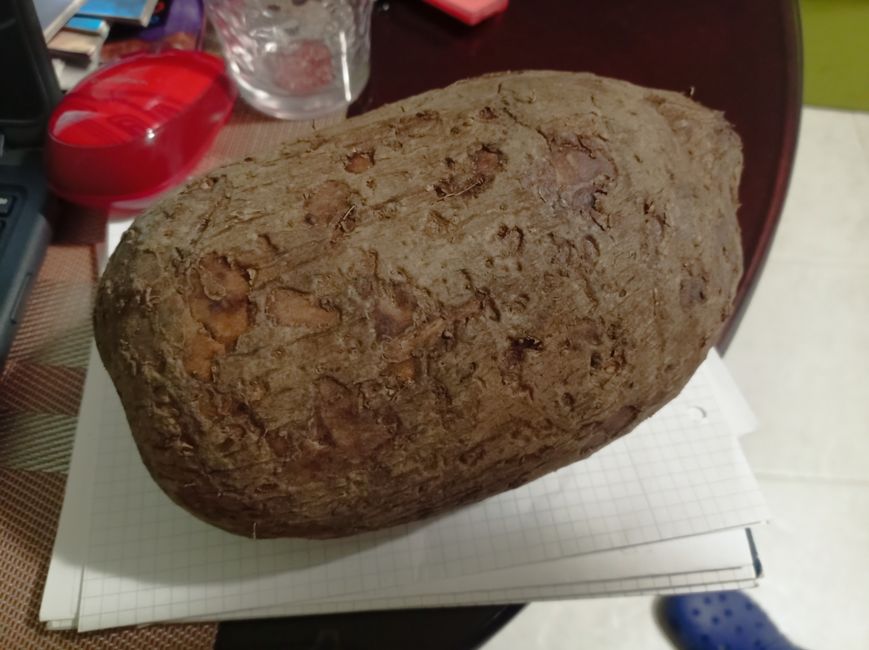 Nei prossimi giorni cucineremo magari della yam