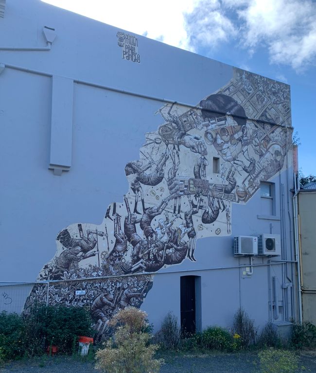 Dunedin and Taiaroa Head