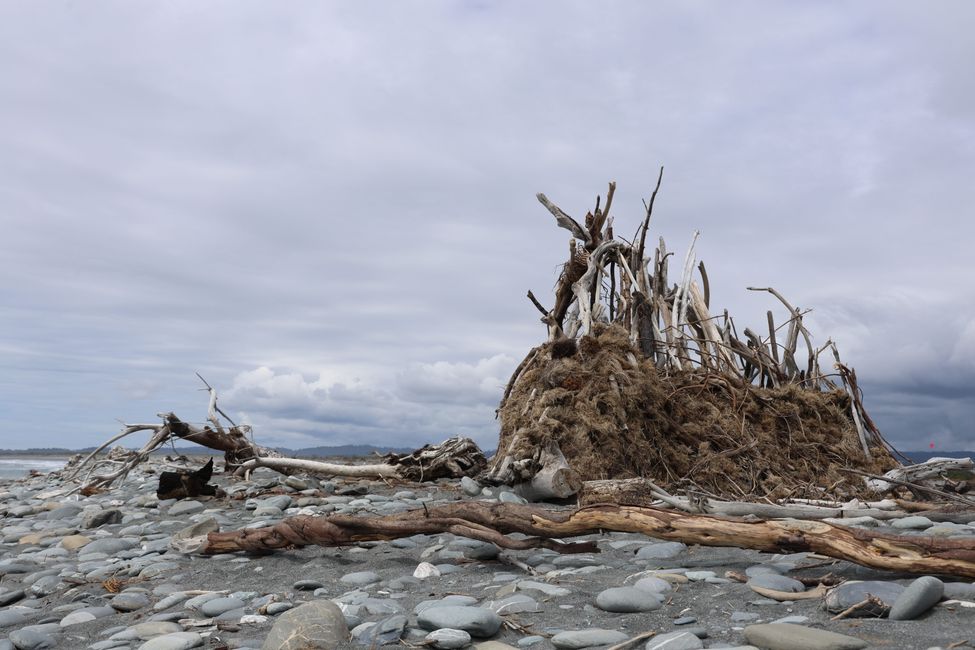 An der West Coast weiter Richtung Süden