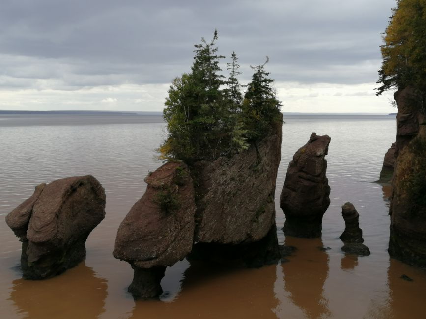 Hopewell Rocks