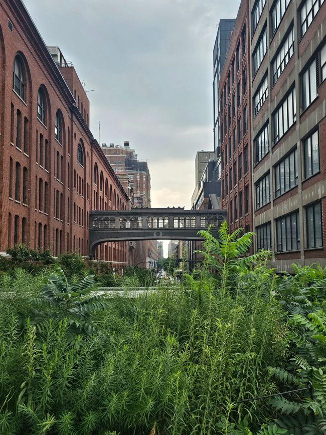 Vista desde la Highline 