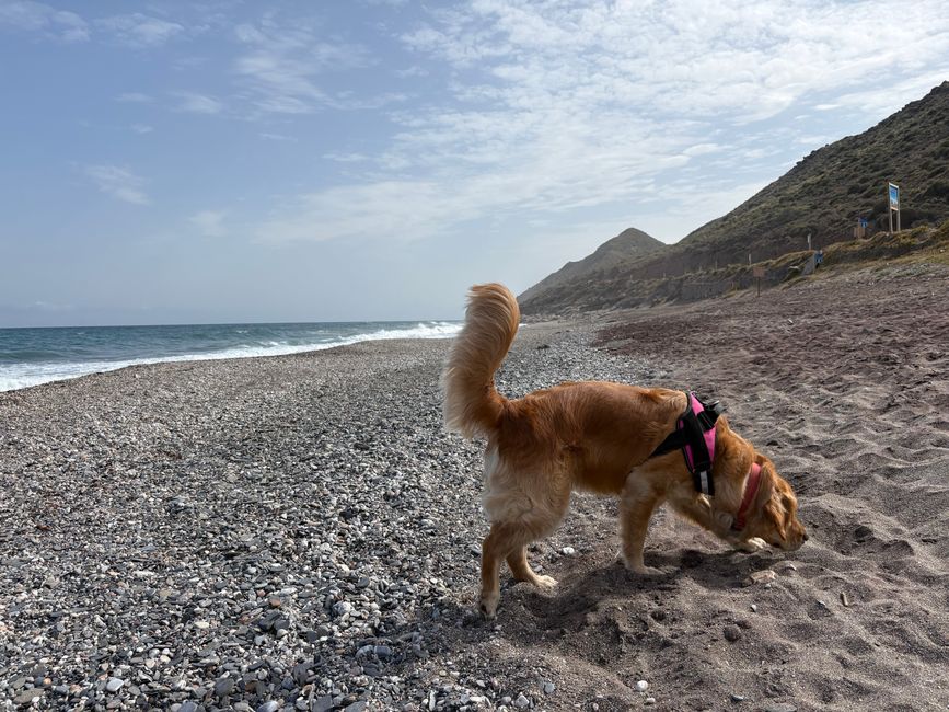 Another day in paradise!