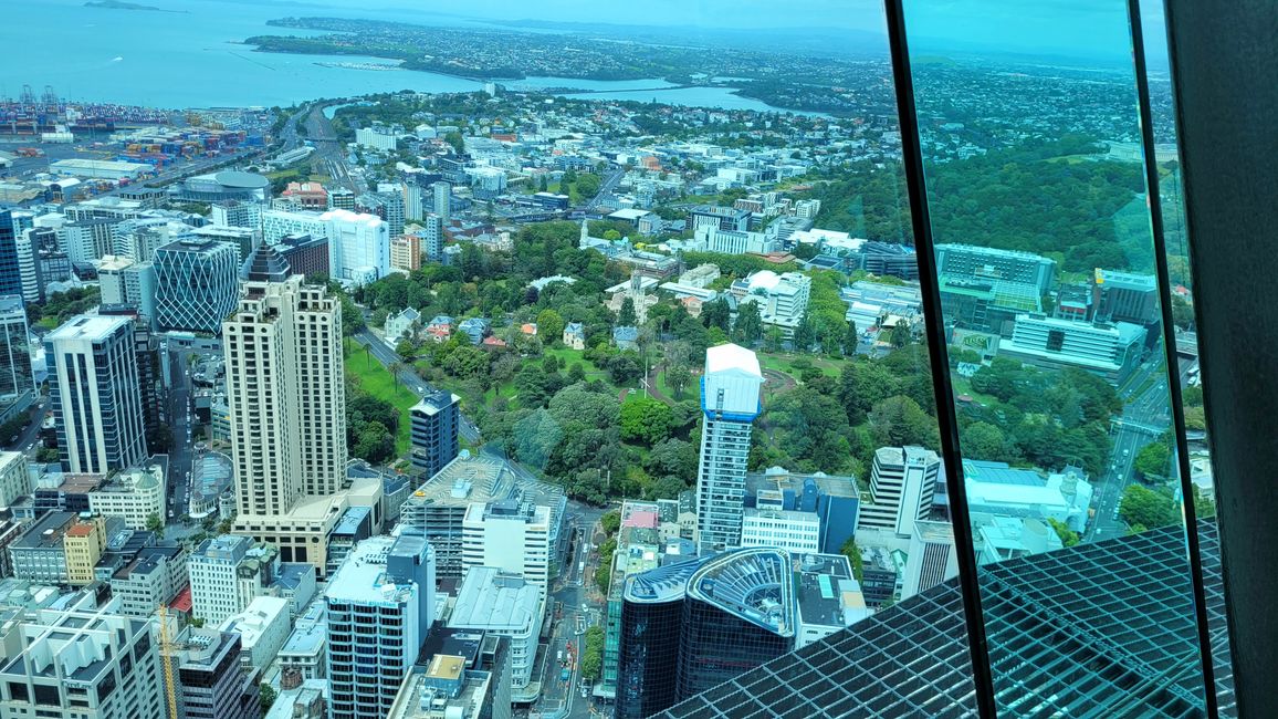 Thank the Maoris - We can visit Auckland