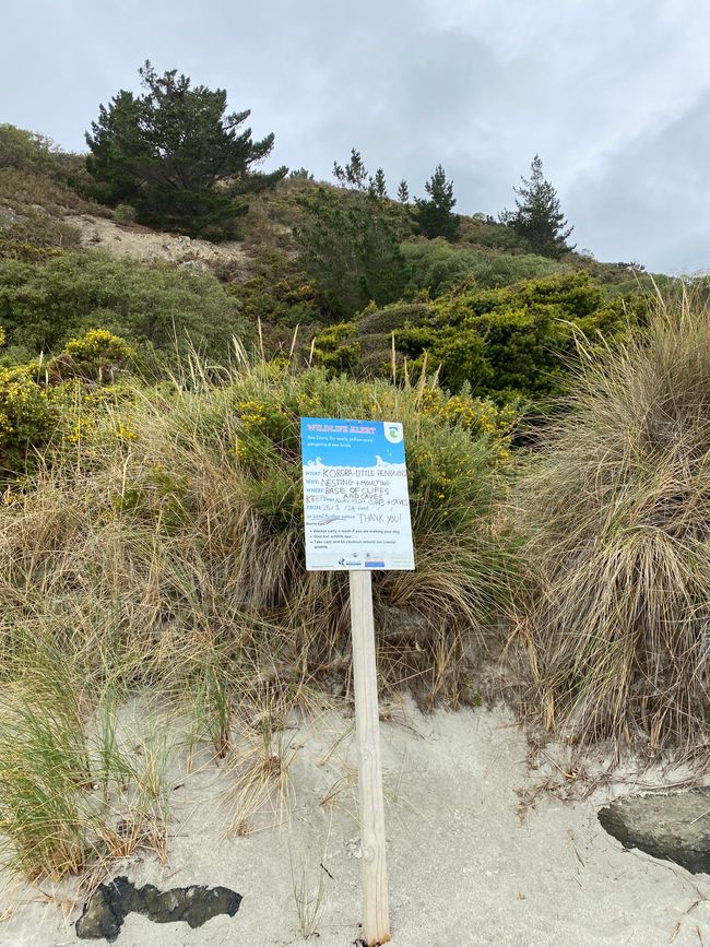 Information boards for dog owners to protect penguins