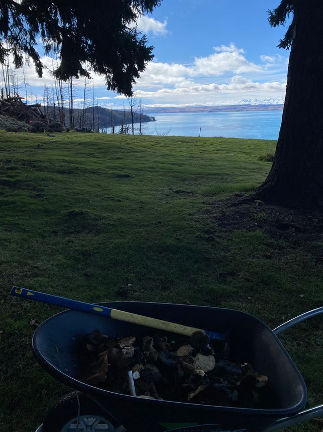 Tekapo, working and off we go