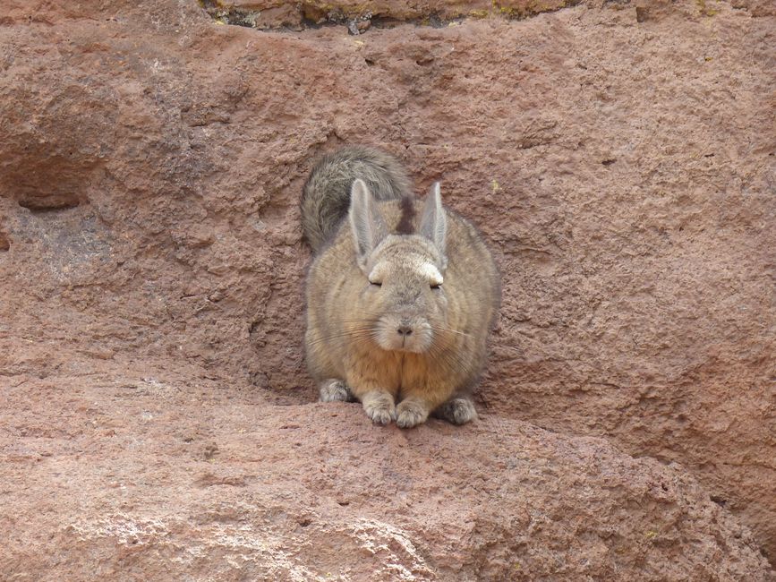 Chile, San Pedro de Atacama