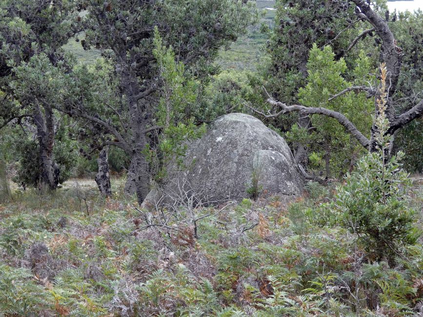 Wilsons-Promontory-Nationalpark