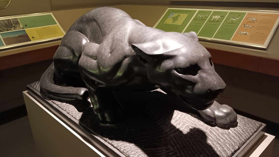 Museum of natural history I