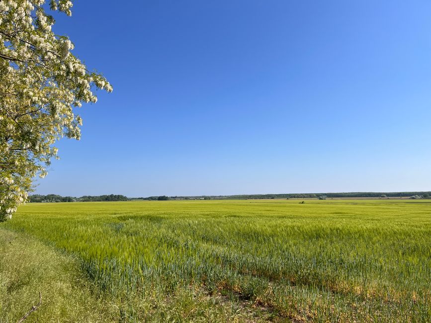 09 nach Balatonfüzfö