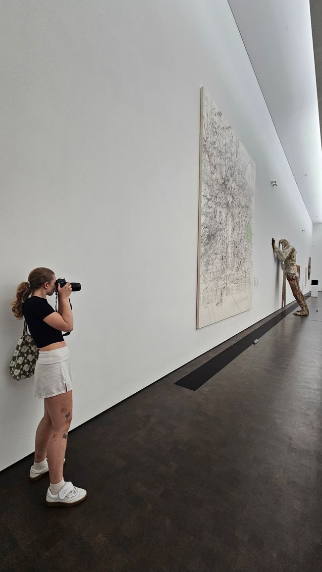 MFAH Photos de Hannes