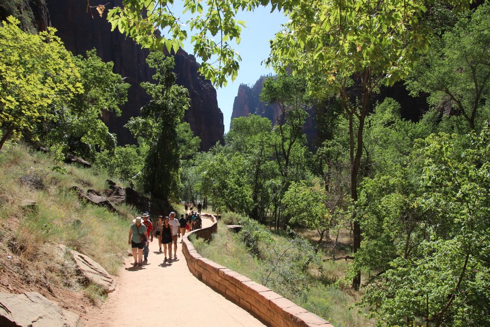 Massentourismus im Zion Canyon